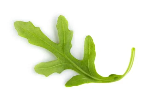 Arugula on white background Stock Photos