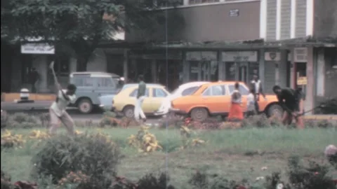 Arusha, Tanzania - 1983: men work in a roundabout as gardener Stock Footage 159643310
