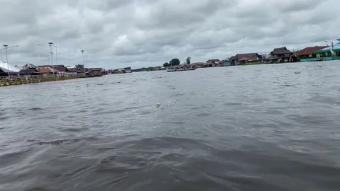 Arut River Indonesia 库存影片 219383520