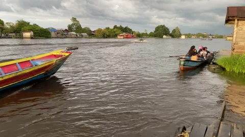 Arut River View 库存影片 219263222