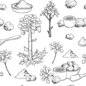 Asafoetida-indian spice.Vector pattern. Stock Illustration