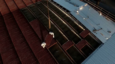 Asbestos removal. Two skilled workers remove the sheets of asbestos cement Stock Footage 71842239