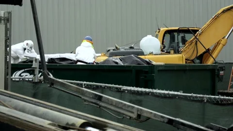 Asbestos Workers In Garbage Dumpster Stock Footage 234083724