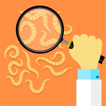Ascarid, Helminth Pinworm Threadworm. Set of Parasite on Orange Background Illustration