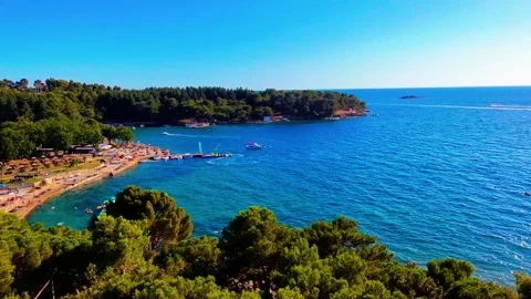 Ascend over beach with forest Stock Footage 313502852