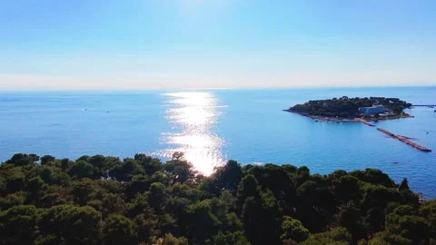 Ascend over ocean with forest Stock Footage 313503607