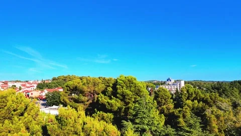Ascend over pine forest and small town Stock Footage 313502679