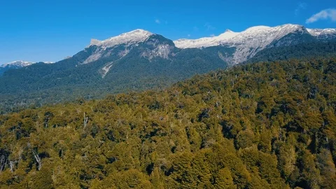 Ascending above the forest and The Andes, Chile Stock Footage 86697324
