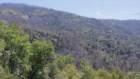 Ascending Aerial Drone Shot of a Sparse Houses in a California Mountain Valley Stock Footage 112238440