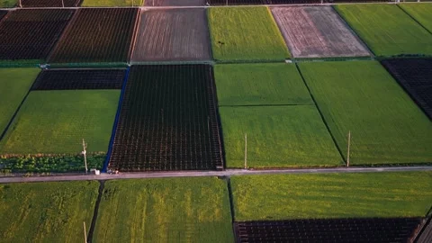 Ascending Aerial Pull Back over Jewon myeon Ginseng Fields and Rice Paddies in Stock Footage 346751655