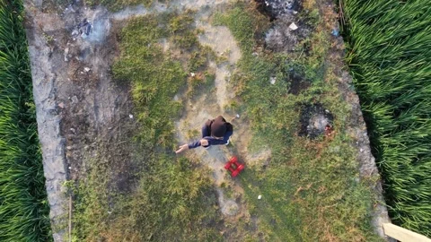 Ascending aerial top down view of hijabi woman stretching at green rice field. Stock Footage 342468177