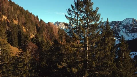 Ascending aerial view above pine trees in the beautiful mountains of Switzerland Video stock 167983187