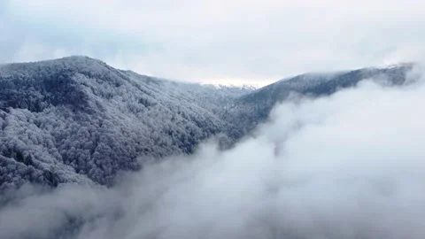 Ascending aerial view of forest covered with snow in a mountain valley Stock Footage 231284533
