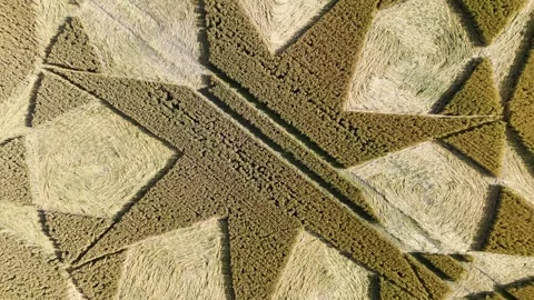 Ascending aerial view rotating above Marten wheat crop circle formation in 스톡 동영상 282697506
