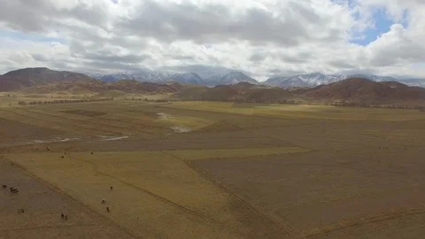 Ascending aerial views across patchwork landscape &amp; vast snow peak Stock Footage 100230399