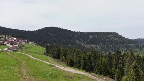 Ascending Drone Flight Through Forest Trees Revealing Mountain Plateau Landscape Vídeos de archivo 337928513