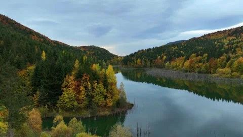 Ascending Drone Flight Through Trees Over Lake Cuejdel. Slow Motion Stock Footage 289301760