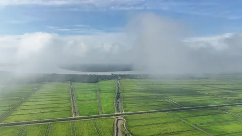 Ascending Drone Rising Into Clouds Above Rice Fields and Distant River Stock Footage 328395144