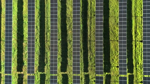 Ascending drone shot over large solar power farm Vidéo 307196459