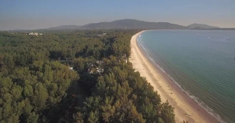 Ascending Drone Shot Over Trees Behind Layan And Bang Tao Beach, Phuket, Video stock 79331219