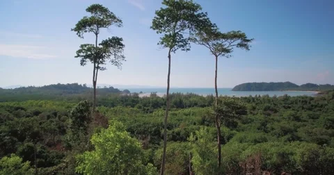Ascending Drone Shot Overlooking Buffalo Bay on Phayam Island in Thailand Stock-Footage 66078285