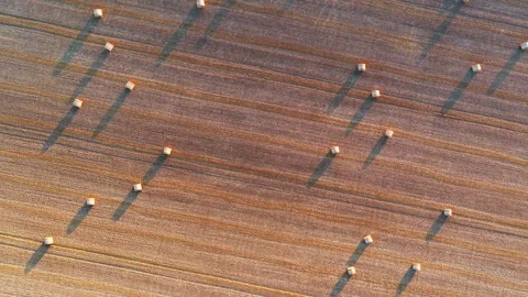 Ascending drone view over hay bales and harvested field, Isle of Wight Stock-Footage 336279153