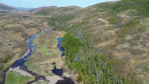 Ascending Drone View Over Newfoundland's Blue Water Bodies and Landscape Stock Footage 253435016