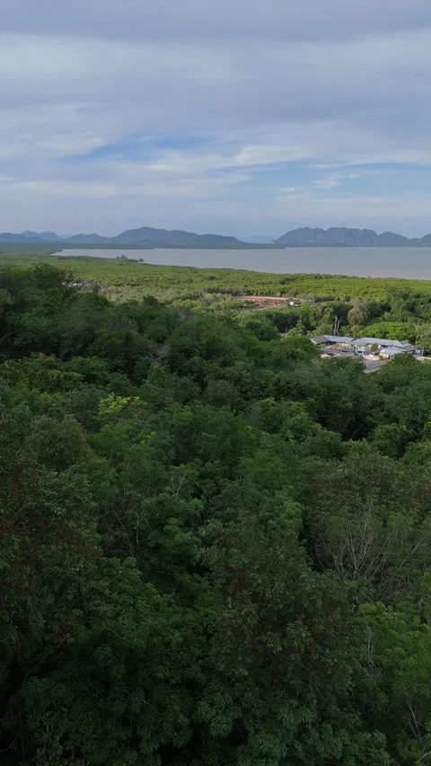 Ascending Drone View of Tropical Rainforest Coastline in Koh Lanta, Thailand Stock Footage 335944964
