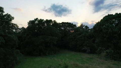 Ascending flight with trees and sunset, Grimes County Texas Stock Footage 129205119