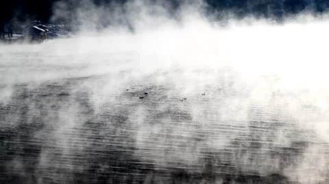 Ascending fog Stock Footage 8908704