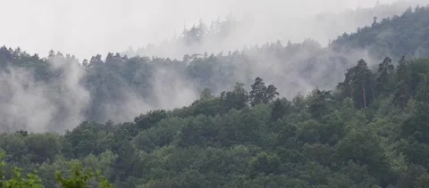 Ascending fog in the mountains. Stock Footage 166647380
