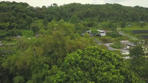 Ascending forward pan down aerial shot of a plant nursery Stock Footage 108230793