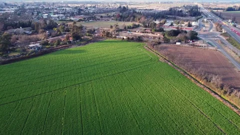 Ascending motion over a green meadow, residential zones and a highway in the Stock Footage 157991106