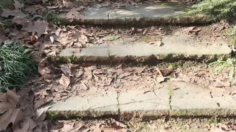 Ascending Old Stone Staircase in Spring Park. Stock Footage 329465977