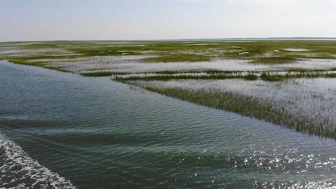 Ascending over the marsh Stock Footage 135987050
