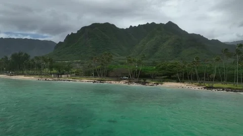 Ascending Pull Back Over Clear Shallows To Palm Backed Beach And Green Valley Vídeo Stock 342651166