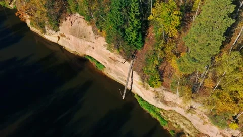 Ascending Pull Back Reveals Sigulda Riverside And Colorful Autumn Forest Stock Footage 336027988