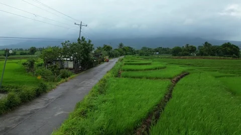 Ascending Scenic drone view of the Philippine countryside around San Jose 動画素材 345970004