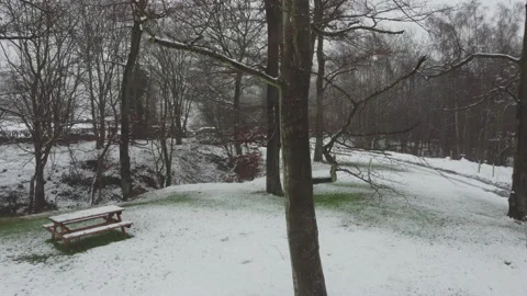 Ascending up snow covered tree in snowing Scottish woodland park with Vídeos de archivo 147239484