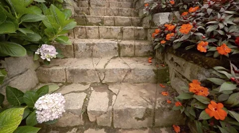 Ascending Stone Steps in an Elaborate, Tropical, Hillside Garden Stock Footage 66856462