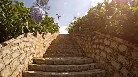 Ascending Stone Steps of a Tropical Seaside Garden Stock Footage 74984976