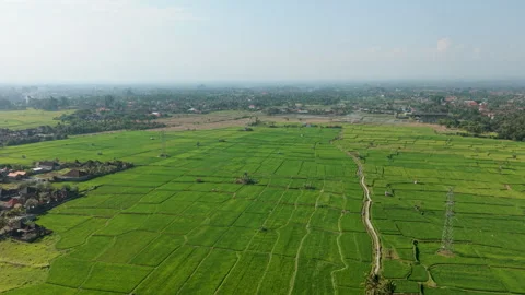 Ascending straight up wide angle rice fields, hotel, horizon and powerlines Bali Stock Footage 346772498