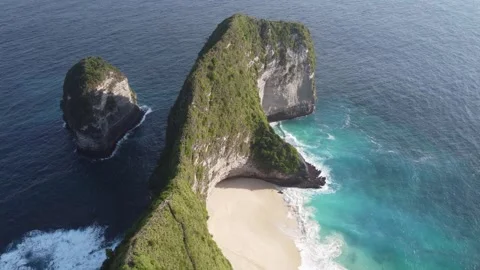 Ascending T-Rex cliff Stock Footage 329873006