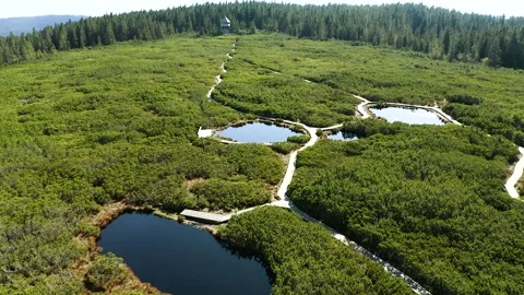 Ascending Tilting Down Shot: Famous Lovrenska Black Lakes, Marshes, Ponds. Stock Footage 221812093