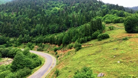 Ascending Toward Misty Forest on Mountain Ridge in Soft Morning Light Stock-Footage 339402023
