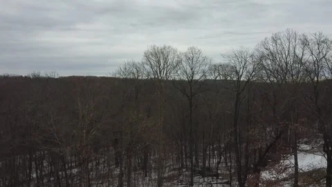An Ascending View of an Early Winter Day in Rural Pennsylvania Stock Footage 257104697