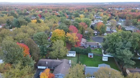 Ascending View of Old Bridge Suburbs in Autumn -05 Stock Footage 220222156