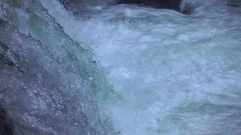 The Ascent of the Cherry Salmon Video stock 333147474