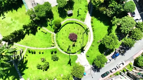 Ascent circle ariel view :  flower bed plants park Stock-Footage 218347380