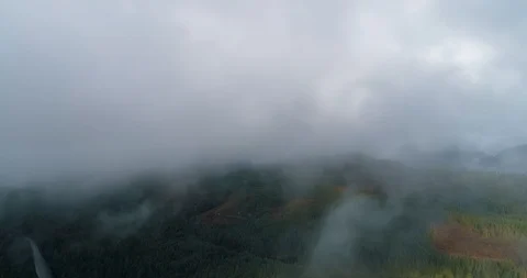 Ascent into Clouds Stock Footage 91904545